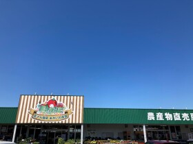 参考画像1